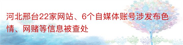 河北邢台22家网站、6个自媒体账号涉发布色情、网赌等信息被查处